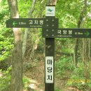 삼락정사 이미지