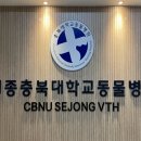 세종충북대학교 동물병원 이미지