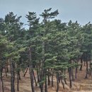 해송사우나 헬스 | [강릉 가족여행] 세인트존스 호텔 - 숙박 후기, 가격, 수영장, 조식, 부대시설