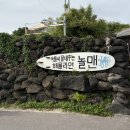 6월 제주도🌀