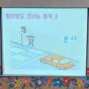 [교통안전교육] 🚦횡단보도 5원칙 이미지