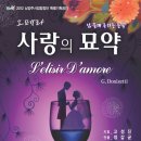 사랑의묘약 이미지