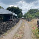 성읍리-3 이미지