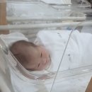 트루에스 | [산후조리원 이용후기] 산본 맘스포레 산후조리원