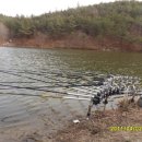 중골내 Daum카페