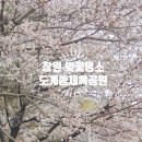 도계체육공원 축구장 이미지