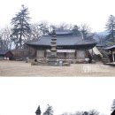 충청도 여행지 추천 가볼만한 사찰 여행