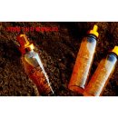 한국의 산삼과 상황버섯 이미지