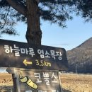 별헤는밤 캠핑장 | [평창 숙소] 별헤는 밤, 강원도 감성적인 글램핑 추천 ‘코뿔소글램핑’