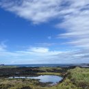 노을과원담민박 이미지