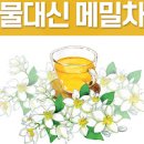 메밀 효능 메밀 차 메밀 칼로리 메밀 이미지