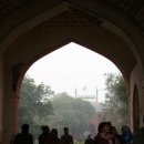 올드델리 이미지