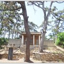 무안-5호 이미지
