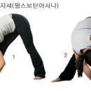 건강 요가-B 이미지