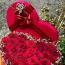 암소한마리 이미지