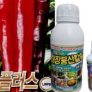 한국농약씨앗 이미지