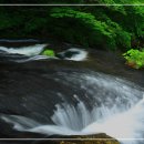 연세나루정신건강의학과의원 이미지