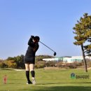 테디밸리CC 이미지