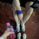 나주아디다스 | 2025 나주 MBN마라톤 대회10km 완주 후기 값진 커플 메달
