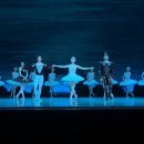 서울시티발레단 백조의 호수 | 국립발레단 <백조의 호수> 강릉 공연 후기