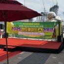 펫의류&펫소품 만들기 이미지