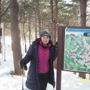 신씨네마을 이미지