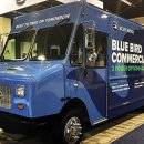 블루버드 이미지