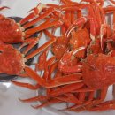 묵호항 자연산 수산물 판매시장 이미지