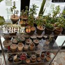 오지5구 | 2026년 새해 기념 성수 사주 데이트 코스 추천 | 힐링타로