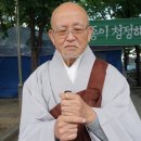 설조스님과의 대담(기사요약) 이미지