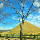 백한의원 이미지