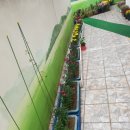 창의샘어린이집 이미지