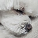 365하나로약국 이미지