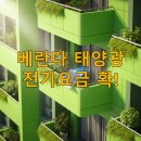 태강에너지 태양광발전소 | 초소형 태양광, 이제 아파트 베란다에서도? 2025 주택용 신재생에너지 트렌드