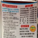 고사포수상레저