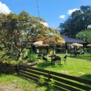 예이제448 이미지