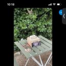 스테이숲숲 이미지