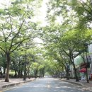 공원로 이미지