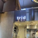트리드 이미지