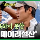 메이84