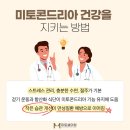 미토셀의원 이미지