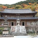 화엄사로 이미지