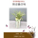 일향플라워 이미지