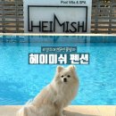 성우빌라 마동 옆 | 경주 애견동반 풀빌라 헤이미쉬 펜션 불국사 근처 가성비 숙소