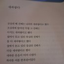 새파랗다 이미지