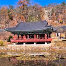 울진농협금강송면지점 | 울진 불영사 웰니스 여행 추천(계곡·주차장·애견동반·식당·카페·날씨)