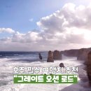 렌트투어 | 호주 여행 그레이트 오션 로드 투어 렌트 비교 후기