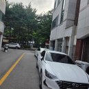꽃씨 | 일곡동 한식맛집 광주 일곡동한식맛집추천 광주 북구일곡동 한식추천 꽃씨와 도둑 낙지볶음 후기