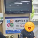 백년명태 이미지