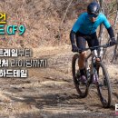 캐니언